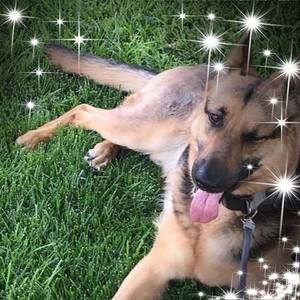 Meet your Posher, Greg